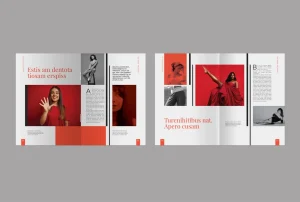 Portfolio Layout