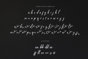 Prishilly Modern Calligraphy Font