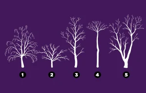 Procreate Tree Silhouette Stamp Brushes