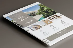 Properties Flyer