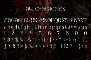 Qaila – Serif Typeface