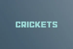 Qruckia – Modern Sport Typeface