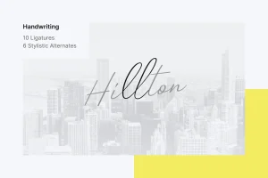Quidity – Handwriting Typeface