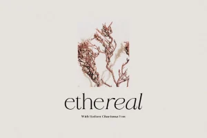 Radiant Charisma – Elegant Serif Family
