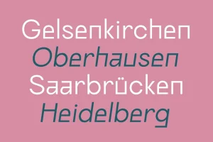 Ranberg – Modern Sans Serif