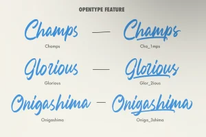 Ravvegin – Calligraphy Font