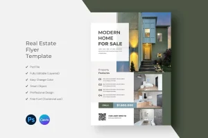 Real Estate Flyer Template Design