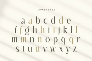 Reward – Modern Luxury Elegant Font