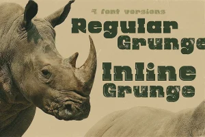 Rhino – Display Font