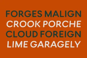Rinkart Sans Display Font