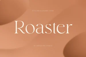 Roaster – Stylish Elegant Font