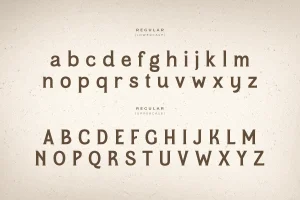 Rumble – Unique Vintage Serif Font