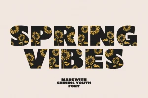 Shining Youth – Display Font
