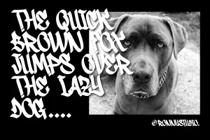 Snikers – Urban Graffiti Font