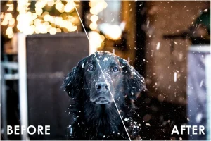 Snow Fall Overlays
