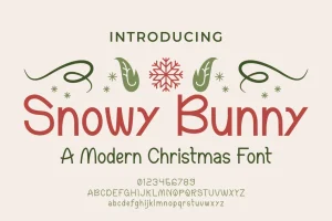 Snowy Bunny – A Modern Christmas Font