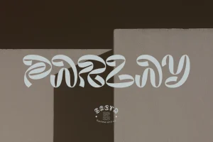 Sorca Display Typeface Font