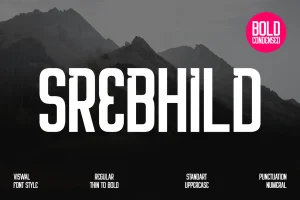 Srebhild – Modern Sans Font