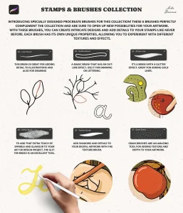 Stamp Brushes Procreate Flowers Frames Floral