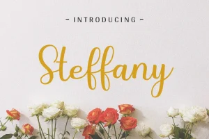 Steffany – Handwriting Font