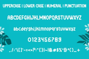 SUMMER QUICK – Fun Font