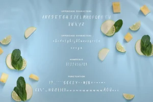 Summertime – Thin Casual Script Font