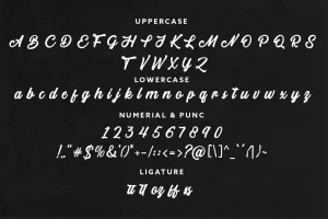 Telford – Script Bold Font