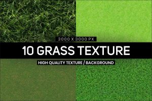 10 Grass Texture Background