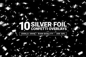 10 Silver Foil Confetti Overlays