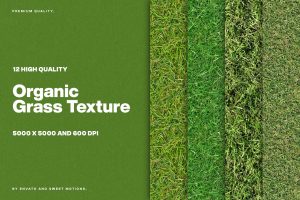12 Organic Grass Textures