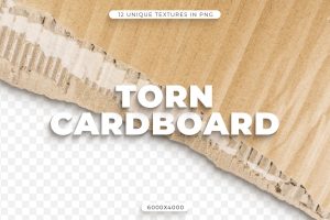 12 Torn Cardboard Textures
