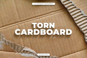 12 Torn Cardboard Textures