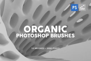 15 Organic Photoshop Stamp Brushes
