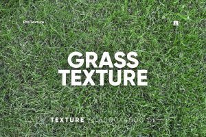 20 Grass Textures HQ