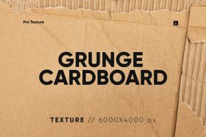 20 Grunge Cardboard Textures