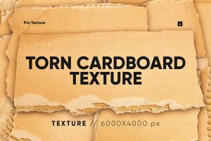 20 Torn Cardboard Textures