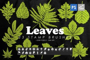 23 Leaves Photoshop Stamp Brushes