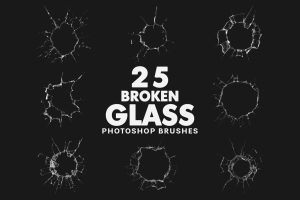 25 Broken Glass Brushes