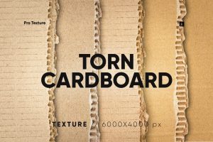 25 Torn Cardboard Overlay HQ