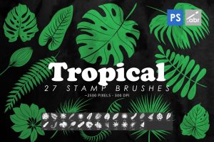27 Tropical Leaves Photoshop Stamp Brushes