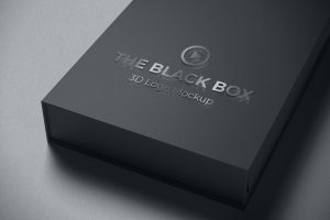3D Logo Mockup on The Box