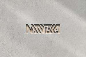 3d Logo Mockup On Wall