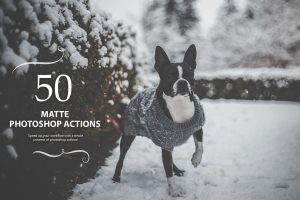 50 Matte Photoshop Actions