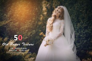 50 Old Paper Texture Photo Overlays