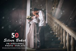 50 Silver Bokeh Photo Overlays