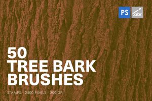 50 Tree Bark Photoshop Stamp Brushes