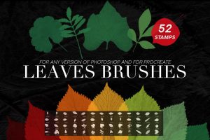 52 Leaves Photoshop Stamp Brushes