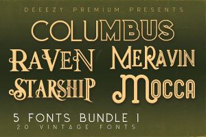 5 Fonts Bundle 1