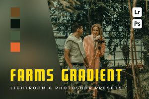 6 Farms gradient Lightroom and Photoshop Presets