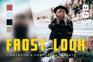 6 Frost Look Lightroom and Photoshop Presets